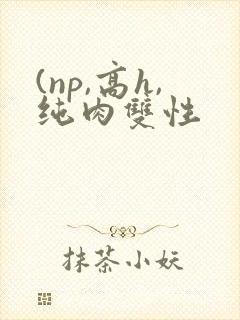 (np,高h,纯肉双性