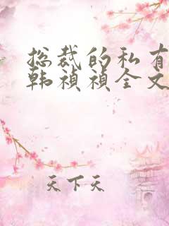 总裁的私有宝贝韩祯祯全文免费阅读