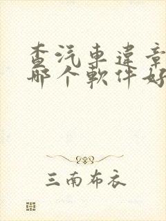 查汽车违章查询哪个软件好