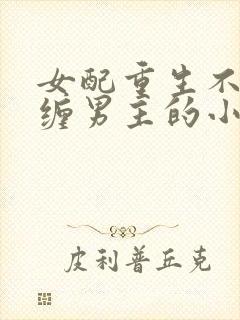 女配重生不再纠缠男主的小说