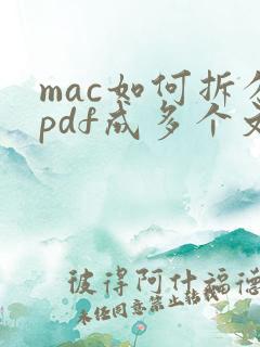 mac如何拆分pdf成多个文件