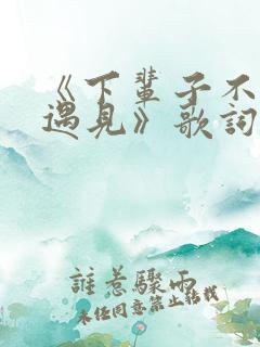 《下辈子不一定遇见》歌词