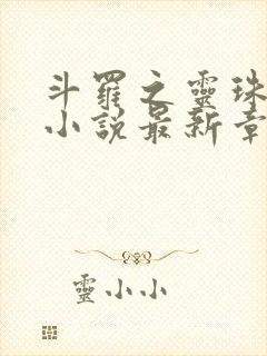 斗罗之灵珠神剑小说最新章节列表