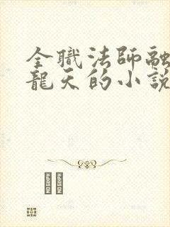 全职法师融合黑龙天的小说