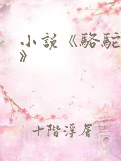 小说《骆驼祥子》