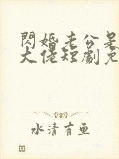 闪婚老公是隐藏大佬短剧免费观看