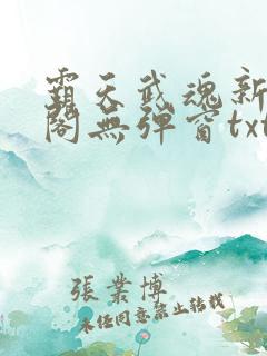 霸天武魂新笔趣阁无弹窗txt