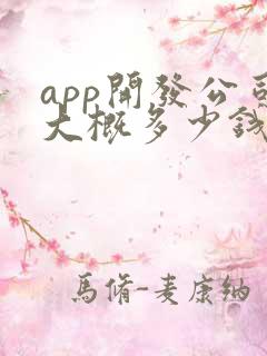 app开发公司大概多少钱