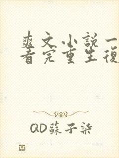 爽文小说一口气看完重生复仇