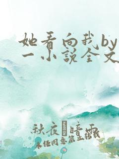 她看向我by徐一小说全文免费阅读