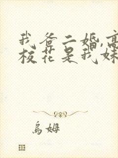 我爸二婚,高冷校花是我妹完结版