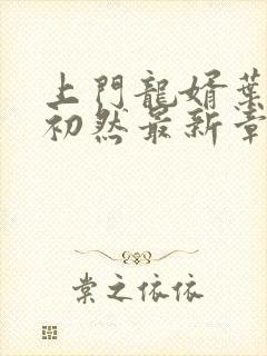 上门龙婿叶辰萧初然最新章