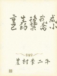 重生后我成了自己的禁裔小说免费阅读