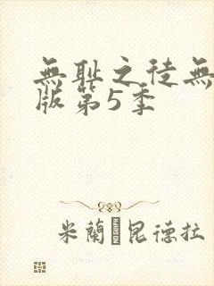 无耻之徒无删减版第5季