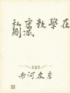 私密教学在线无删减