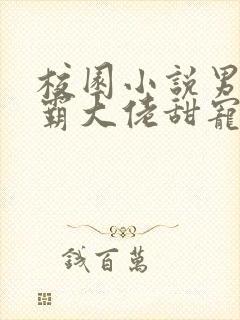 校园小说男主校霸大佬甜宠文