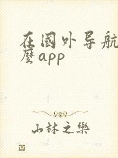 在国外导航用什么app