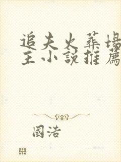 追夫火葬场双男主小说推荐