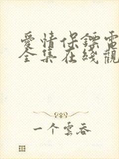 爱情保镖电视剧全集在线观看免费