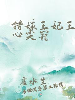 错嫁王妃王爷的心尖宠