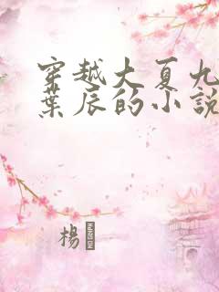 穿越大夏九皇子叶辰的小说