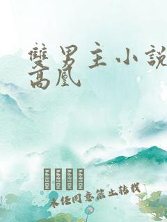 双男主小说推荐高凰