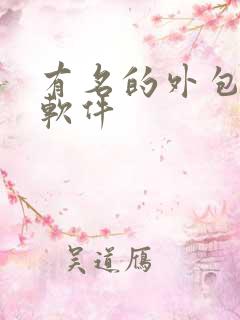 有名的外包公司软件