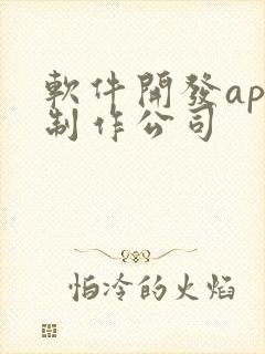 软件开发app制作公司