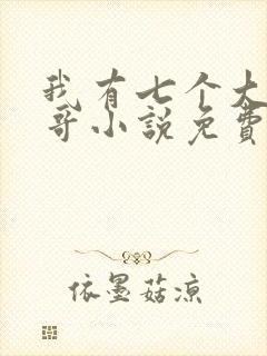 我有七个大佬哥哥小说免费阅读