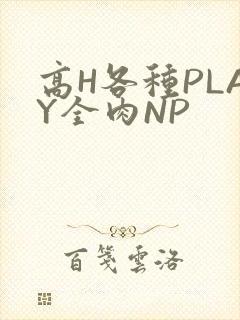 高H各种PLAY全肉NP
