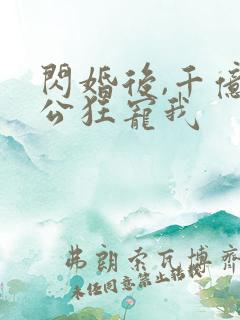 闪婚后,千亿老公狂宠我