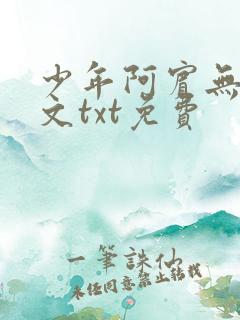 少年阿宾无删全文txt免费