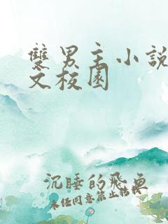 双男主小说甜宠文校园