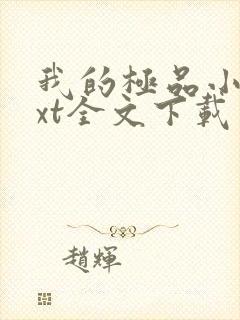 我的极品小姨txt全文下载