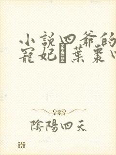 小说四爷的心尖宠妃·叶枣四爷全篇