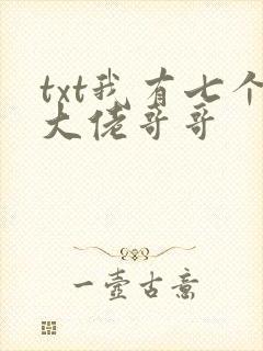 txt我有七个大佬哥哥
