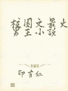 校园文最火的双男主小说