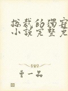 总裁的独宠甜妻小说完整免费