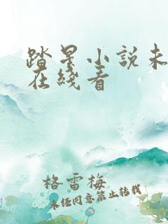 踏星小说未删减在线看