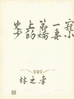 史上第一宠婚慕少的娇妻小说免费