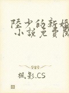 陆少的新婚哑妻 小说免费阅读全文