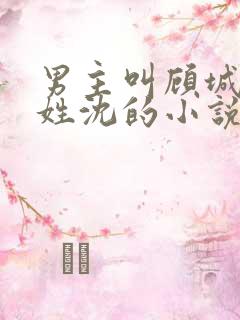 男主叫顾城女主姓沈的小说