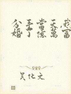 分手当天,我闪婚了亿万富豪全文免费阅读