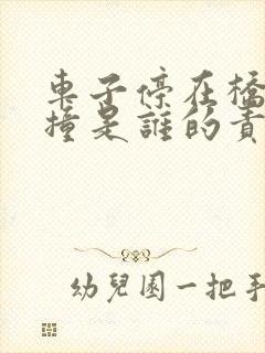 车子停在桥上被撞是谁的责任