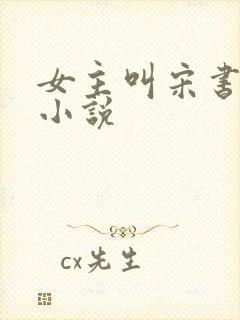 女主叫宋书瑶的小说