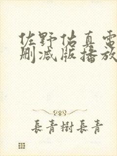 佐野佑真电影无删减版播放