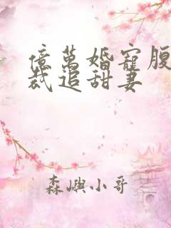 亿万婚宠腹黑总裁追甜妻