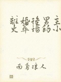 离婚后男主追妻火葬场的小说