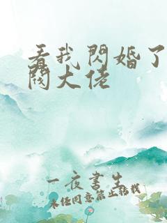 看我闪婚了个财阀大佬