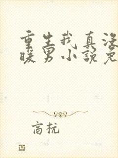 重生我真没想当暖男小说免费阅读全文